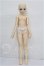 画像4: Little Monica Elena S-26-10-04-104-TO-ZS (4)