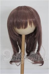 9-10inch/ウィッグ S-26-09-20-125-TO-ZS