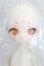 画像1: TinyFox/黄小仙 阿鼬 S-26-09-20-105-TO-ZS (1)