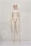 画像4: LUNA　BLANC/daphne S-26-10-04-303-TO-ZS (4)