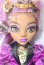 画像1: MONSTER HIGH/Clawdeen Wolf MONSTER BALL S-26-09-20-261-TO-ZS (1)