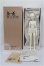 画像6: MYOUDOLL/1/4 Delia S-26-09-20-302-TO-ZS (6)