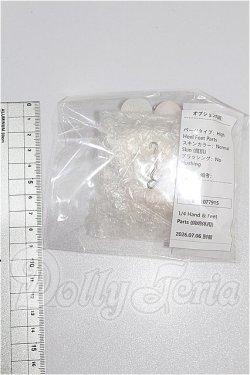 画像2: Asleep Eidolon/1/4 足パーツ S-26-09-27-228-YB-ZS