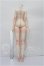 画像2: EVANTASY/62cm Girl Body S-26-09-27-102-TO-ZS (2)