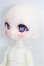 画像3: TinyFox/蜘蛛人形 アラクネ 1/6 S-26-10-04-107-TO-ZS (3)