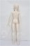 画像5: SHOUSHOU DOLL/1/4男の子 猫可可 S-26-10-04-302-YB-ZS (5)