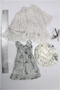 画像2: DD/OF:衣装セット S-26-10-18-224-YB-ZS