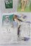 画像10: 幼SD/ナナ Sweet Dream ver S-26-10-11-252-TO-ZS (10)