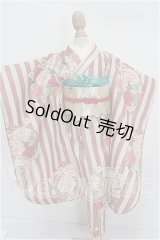 SDM＆MDD/錦の華(桃) S-26-10-11-113-TO-ZS