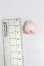 画像2: H-nest/mini Nuni S-26-10-11-180-TO-ZS (2)