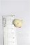 画像2: H-nest/mini Nuni S-26-10-11-178-TO-ZS (2)