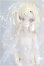 画像1: 不可食用人形（Inedible Doll）「ニャニャニャ次元」1/8 S-26-10-11-166-TO-ZS (1)