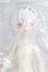 画像1: 不可食用人形（Inedible Doll）「ニャニャニャ次元」1/8 S-26-10-11-165-TO-ZS (1)