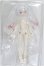 画像2: 不可食用人形（Inedible Doll）「ニャニャニャ次元」1/8 S-26-10-11-165-TO-ZS (2)