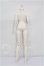 画像2: Coral Reef Doll/1/4女の子ボディ  S-26-10-11-257-TO-ZS (2)