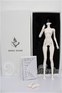 画像3: Coral Reef Doll/1/4女の子ボディ  S-26-10-11-257-TO-ZS