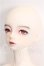 画像3: Gem of Doll/Wall S-26-10-18-106-TO-ZS (3)