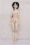 画像5: Gem of Doll/Wall S-26-10-18-106-TO-ZS (5)