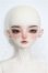 画像1: Fatemoons/1/4/蛍boy S-26-10-18-103-TO-ZS (1)