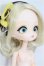 画像3: ハルモニアブルーム　Harmonia bloom/パンジー S-26-10-25-113-TO-ZS (3)