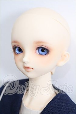 画像3: SDM/F-33:コーディネートモデル S-26-10-18-302-TO-ZS