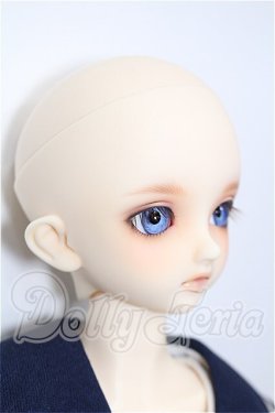 画像4: SDM/F-33:コーディネートモデル S-26-10-18-302-TO-ZS