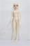 画像4: LITTLE MONICA/1/4 Girl Spica S-26-10-25-103-TO-ZS (4)
