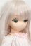 画像3: 乙姫ドール/美羽 カスタムベーシックセット S-26-10-25-106-TO-ZS (3)