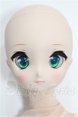 MDD/ドリームチョイス DC-H-21ヘッド S-26-10-18-204-TO-ZS