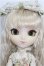 画像1: プーリップ/ティフォナ S-26-10-25-261-TO-ZS (1)