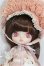 画像1: DAL(ダル)/クインス(QUINCE) S-26-10-25-262-TO-ZS (1)