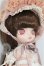 画像3: DAL(ダル)/クインス(QUINCE) S-26-10-25-262-TO-ZS (3)