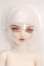 画像2: ローゼンメイデン/水銀燈キャストドール DOLKコラボ S-26-10-25-251-TO-ZS (2)