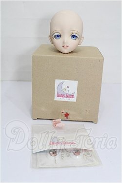 画像5: DD/DDH-09 カスタムヘッド S-26-10-25-120-TO-ZS