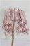 画像2: 8.5inch/ウィッグ S-26-10-25-220-YB-ZS (2)