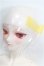 画像2: 猫鬼自制/Liquor 銀の魔女 The Witch of the Mithril ver. Limited S-26-10-25-253-TO-ZS (2)