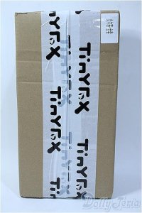 TinyFox/タコ娘 ピアシー Y-25-03-26-247-GN-ZY