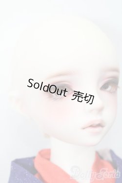 画像4: SD13/ワンオフモデル:F-109 S-24-12-01-002-GN-ZS