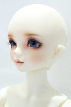 画像3: SDM/コーディネートモデル：F46 S-25-11-02-001-YB-ZS