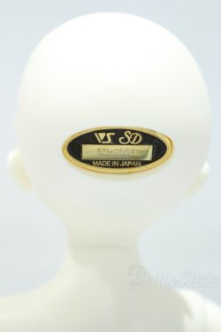 画像5: SDM/コーディネートモデル：F46 S-25-11-02-001-YB-ZS