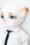 画像3: LUTS/Zuzu Delf Lio Romance S-25-06-08-001-YB-ZS