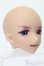 画像3: IMOMODOLL/Canis-B ヘッド S-25-03-16-397-GN-ZS (3)