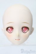 DD/DDH-08:ヘッド S-25-05-11-565-GN-ZS