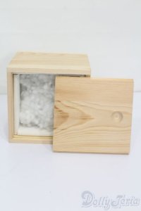 SD/ドールヘッド収納ケース S-25-05-11-104-GN-ZS