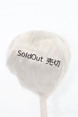 画像2: 8-9inch/ウィッグ S-25-10-19-389-GN-ZS