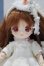 画像1: 【新宿マルイアネックス店 店頭販売商品】OBドール/『HAKASE』ヘッドカスタムドール 2100150000001293-ZM (1)