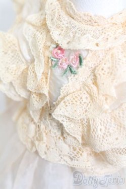 画像4: SDM＆MSD/OF:ドレス S-25-11-09-470-GN-ZS