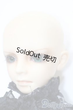 画像3: SD13BOY/教室Ａヘッド+13BOY分割ボディ S-24-12-15-151-GN-ZS