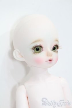 画像3: withdoll/alice S-25-09-28-438-GN-ZS