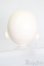 画像4: NINE9/CHUU:ヘッド S-25-03-30-478-GN-ZS (4)